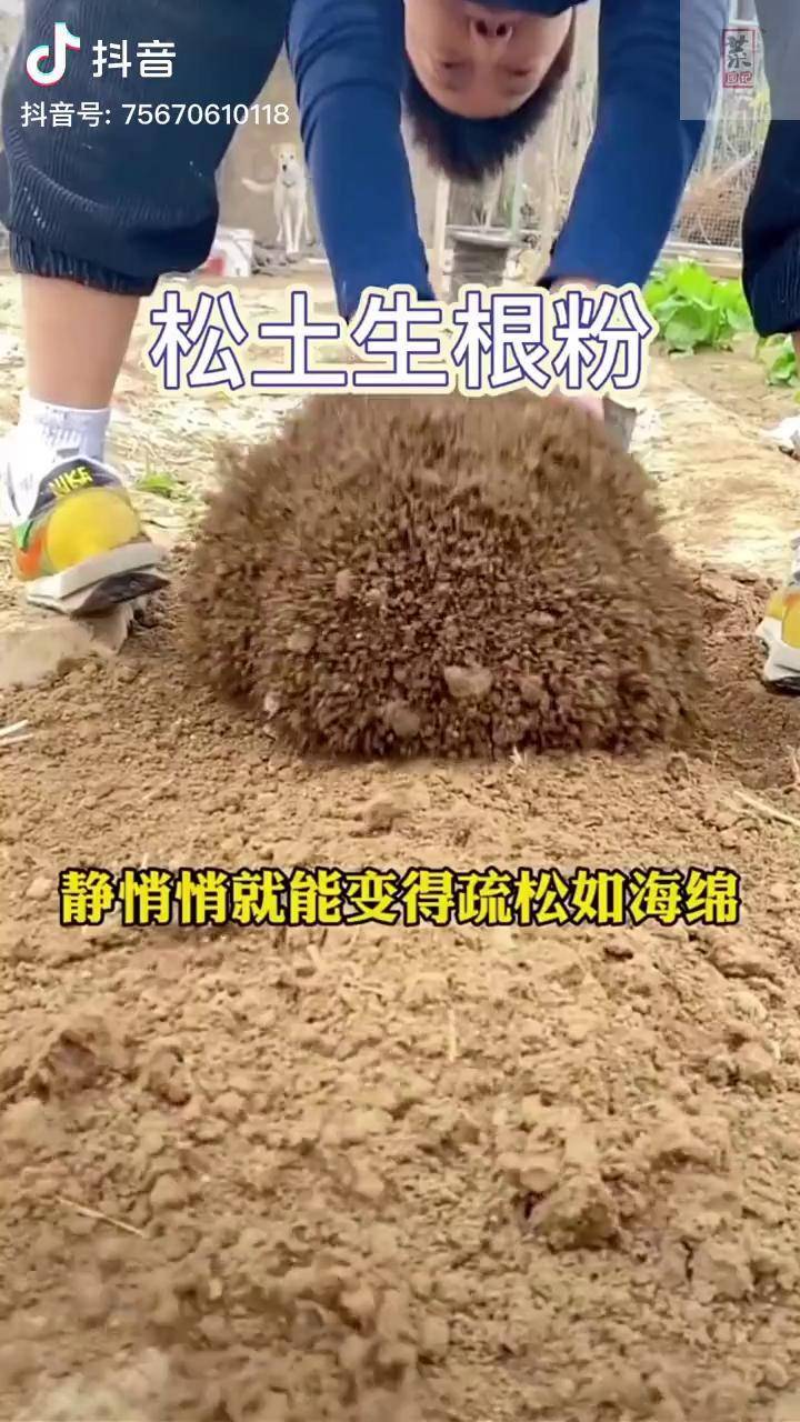 松土精 也叫松土生根粉农业种植 我的小菜园 松土精