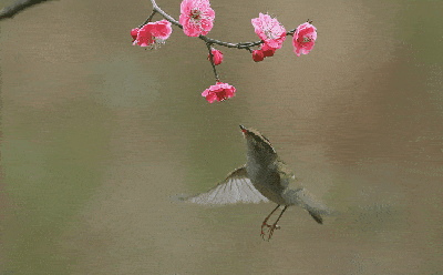 中国诗歌报第三临屏创作室【同题】栏目第2 期_燕子_梓君_屈立华