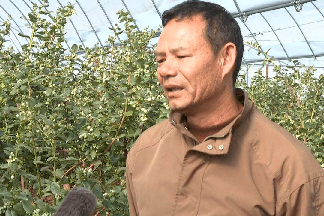 龙朋镇:聚力打造商贸街镇 助推经济高质量发展_集镇_石屏县_优势