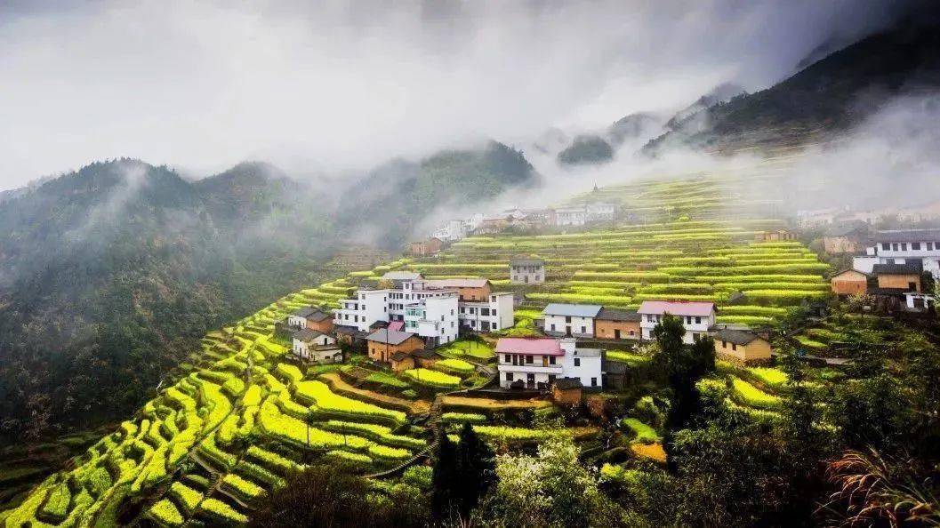茶叶企业定制_茶叶定制化服务_茶叶定制化服务是什么