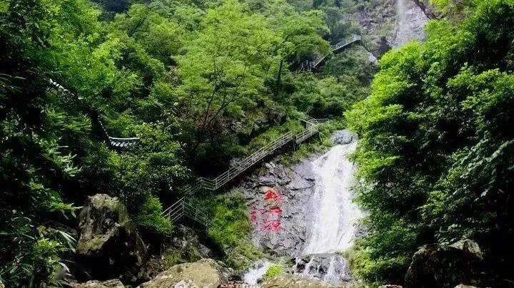 茶叶定制化服务是什么_茶叶定制化服务_茶叶企业定制