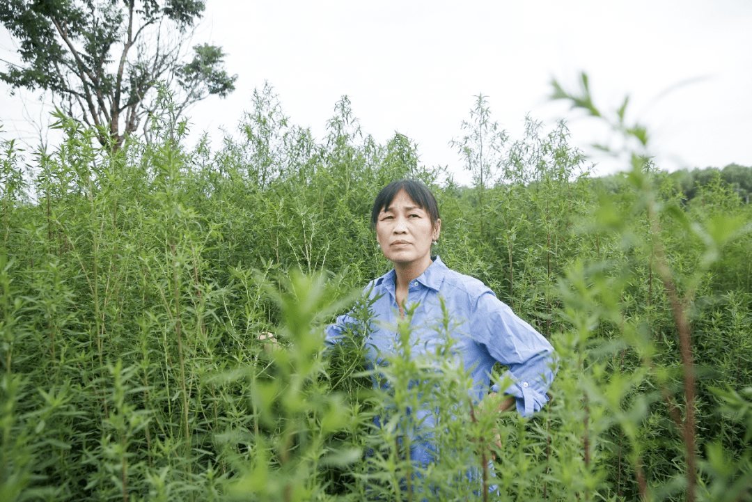 直播预告 | 久别重逢,范雨素!_文学_小说_农村
