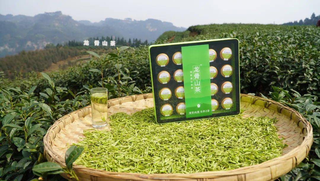 来乐山,把春天装进篮子里!_峨眉山市_茶园_茶叶