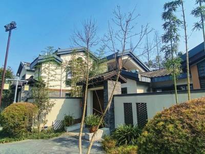 春游东林艺术村 感受乡村振兴脉搏_小区_居民_网格