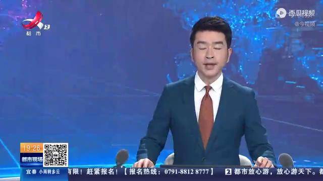 江苏连云港:海州湾沿海湿地迎来大批反嘴鹬
