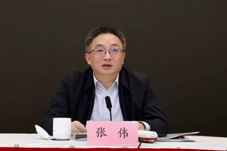 区委副书记,区长,区总林长张伟,区委常委,常务副区长,区副总林长