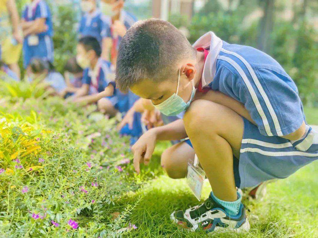 福田最美春天居然藏在這裡._校園_小學_實驗