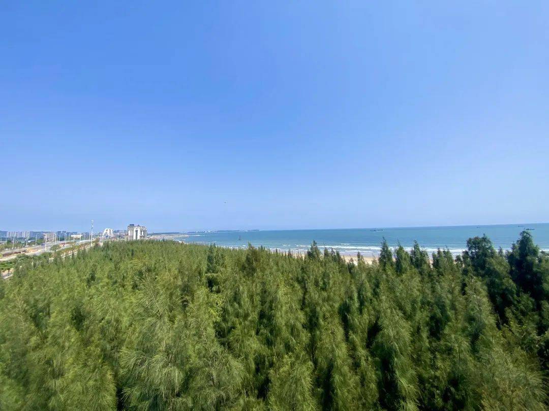 改革动态 | 五一开放运营!长乐5.2公里沙尾海滩拟"大整容"!