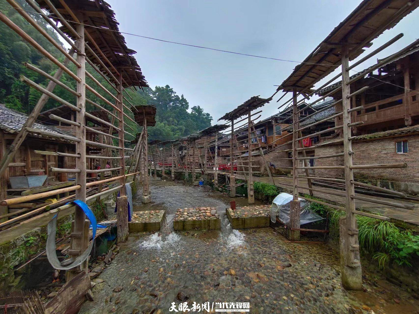 从江县占里村有着侗族独特的人口文化,婚姻文化,农业文化,景观文化