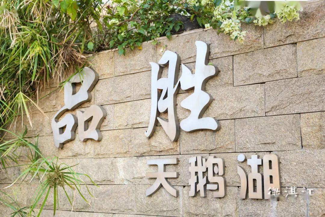 天鹅湖_湛江_风铃