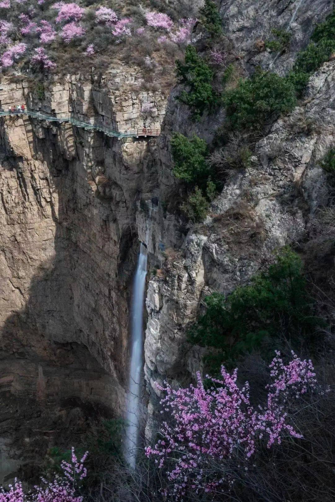 图黄河大梯子崖景区 春日风光曹阳 摄来源山西黄河大梯子崖旅游景区