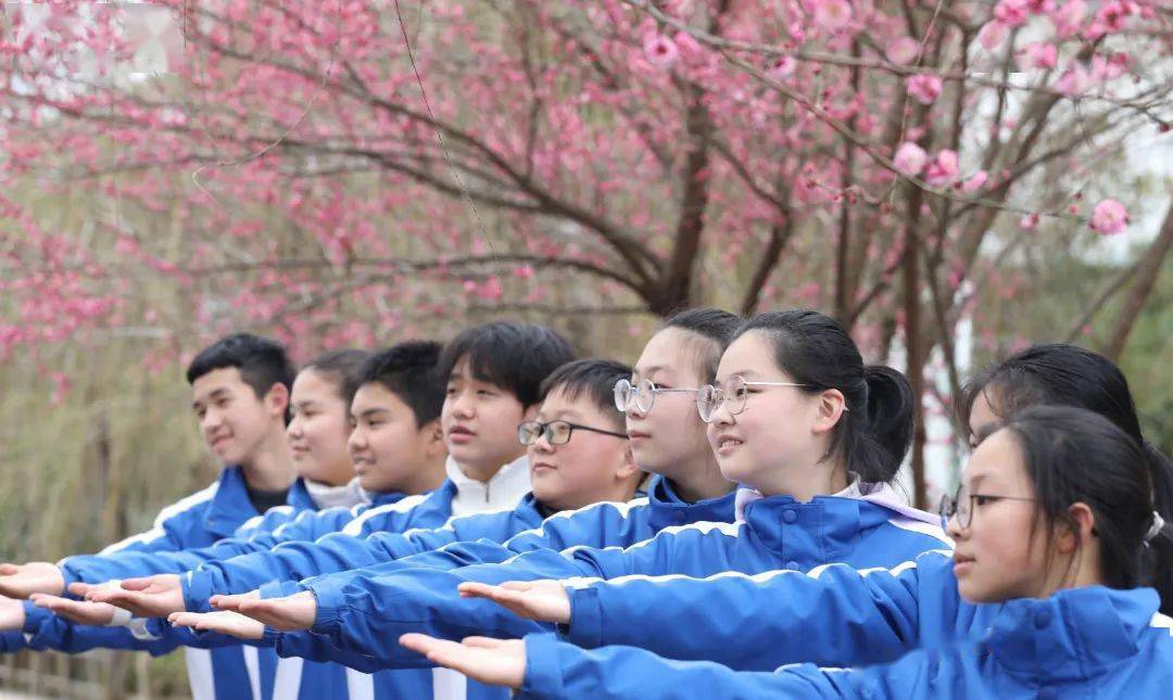 天台县始丰街道中心幼儿园玉环市清港中心小学临海市大洋小学路桥区