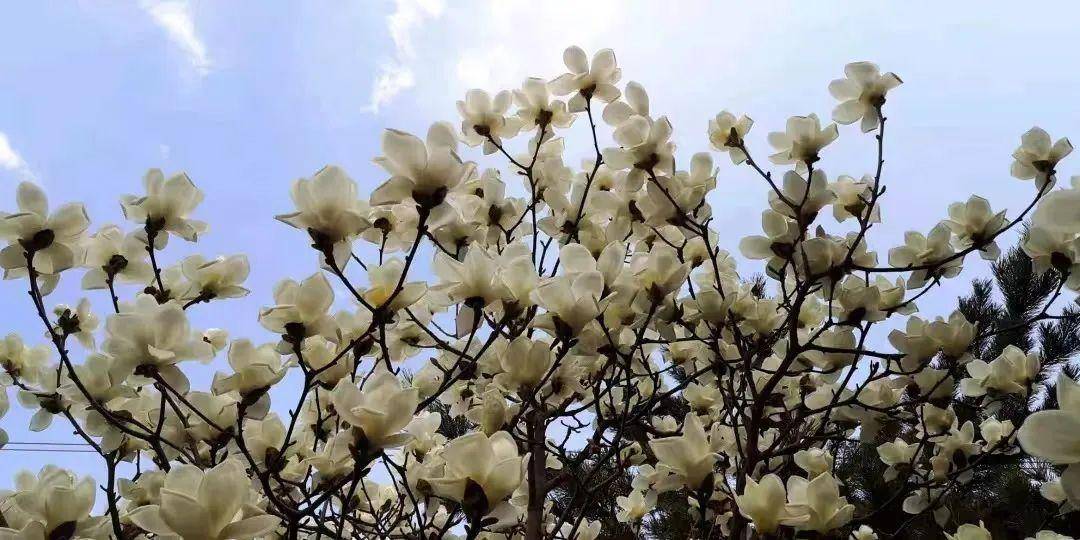 有信借违法吗(有信是正规贷款公司吗)