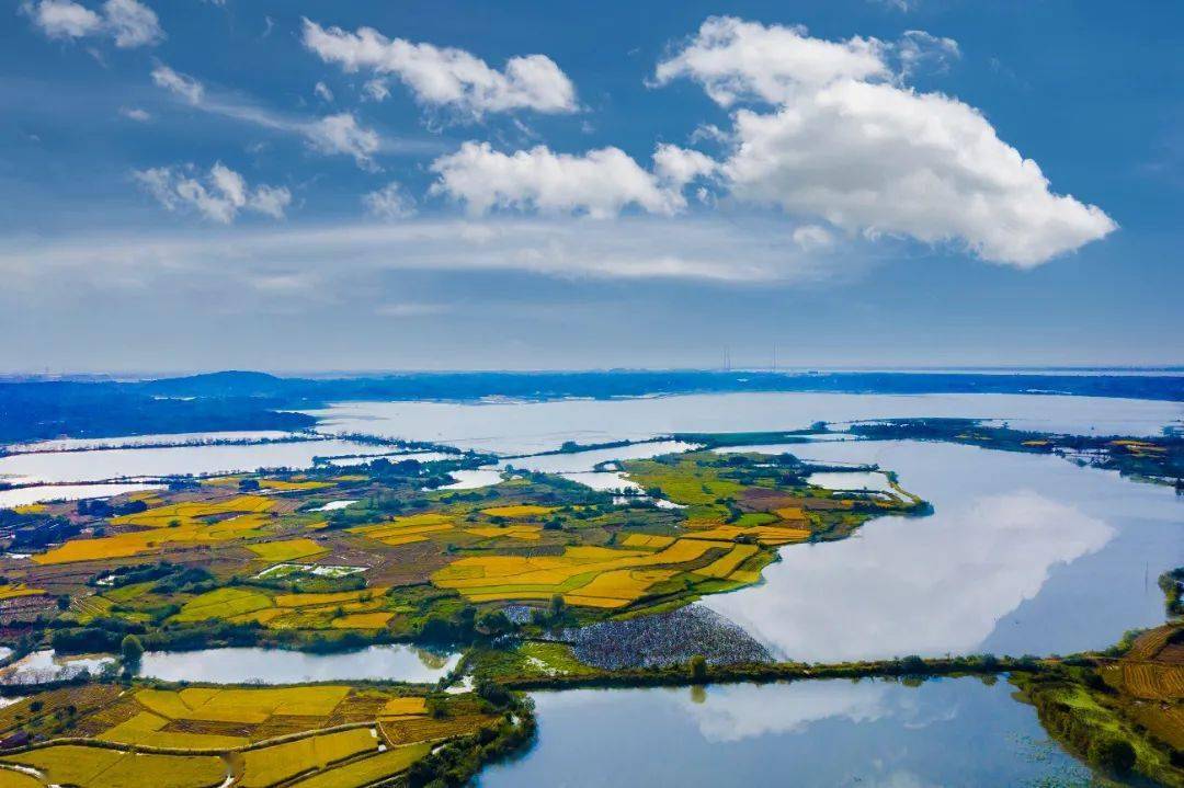 如果你想来云溪,我想告诉你,这里不止有樱花,还有.