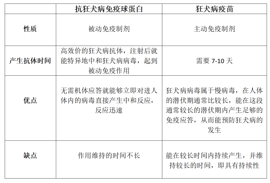 為什麼要接種抗狂犬病免疫球蛋白?