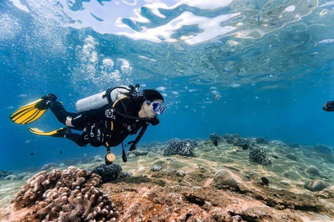 来蜈支洲岛考下一张潜水证,就能潜遍全球!