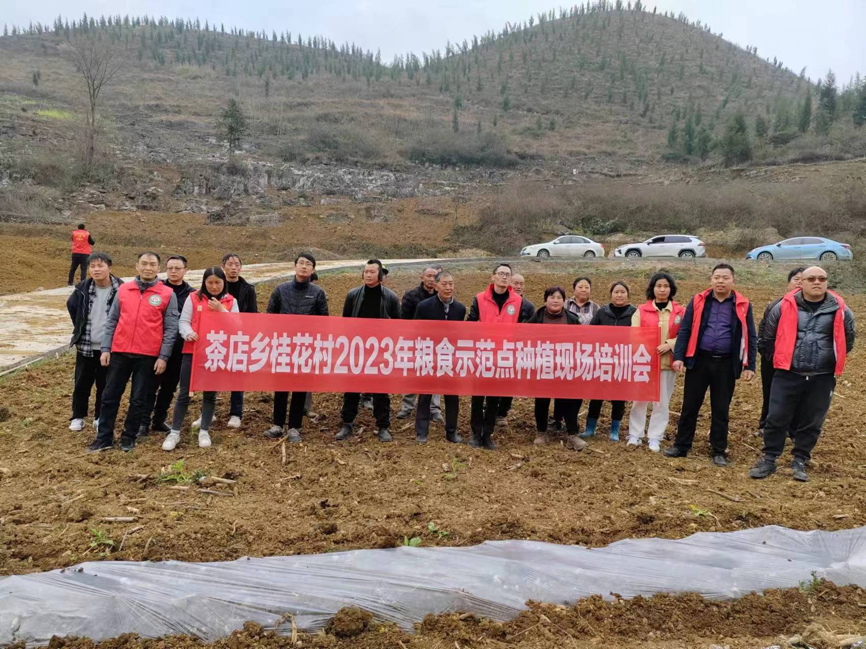 织金县茶店乡:技术培训强本领 技能提升促增收_群众_种植_农业