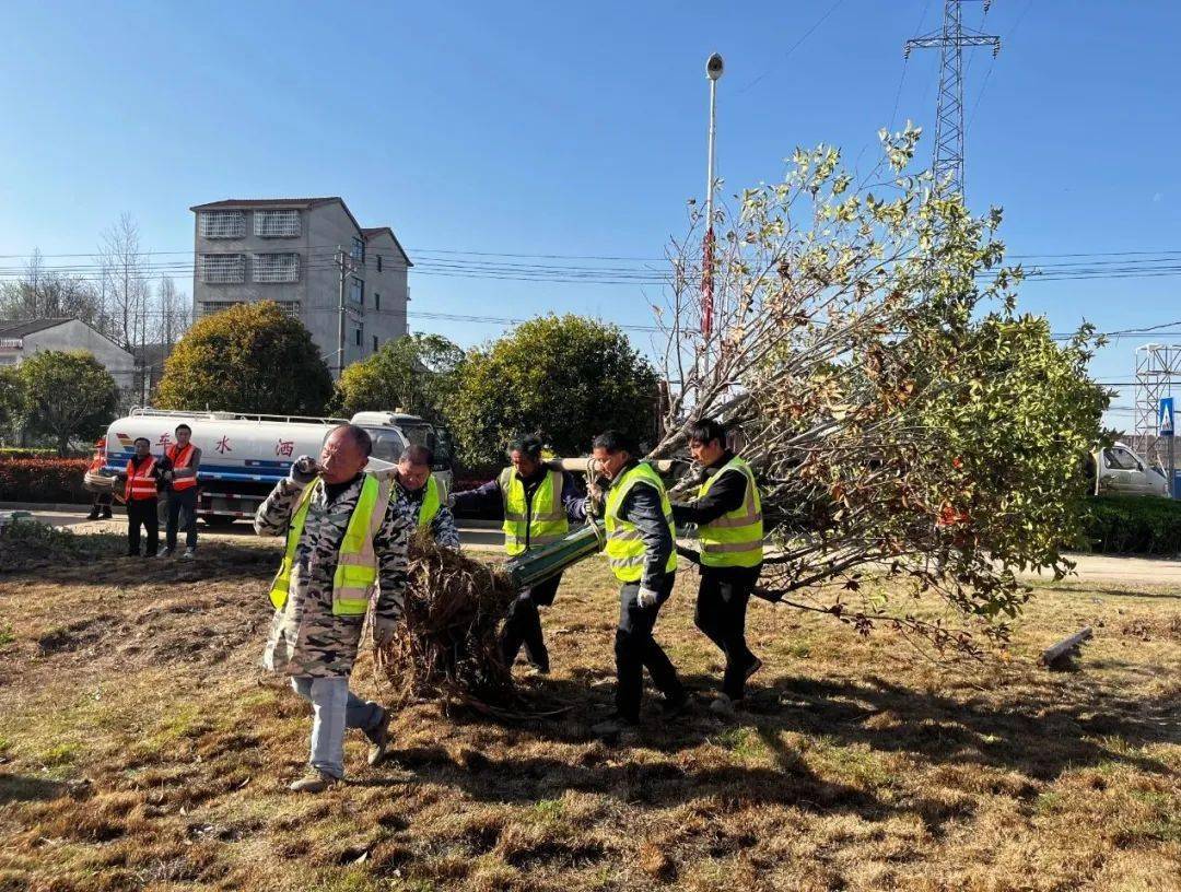 监利市朱河镇开展植树造林,绿化美好家园_活动_作用_李海涛