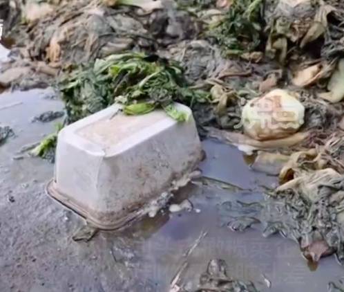 玉蕾橄榄菜用垃圾菜叶制作混杂饭盒和烟头 居民