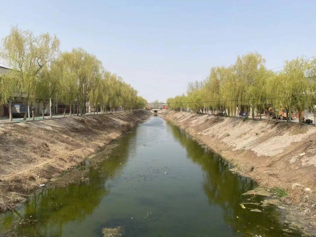 你看!朱仙镇运粮河两岸的柳树绿了,河水也绿了真漂亮!