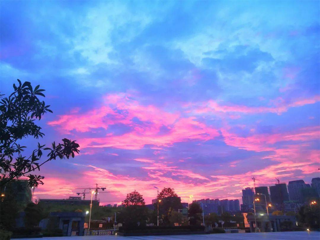 何芳芳)春光留影05紫叶李(李经纬)春光留影04湖(康伟)春光留影03中央