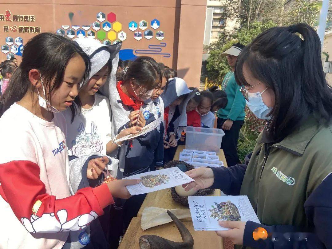 【科普进校】昆明市五华区江岸小学生物多样性认识云南本土物种科普