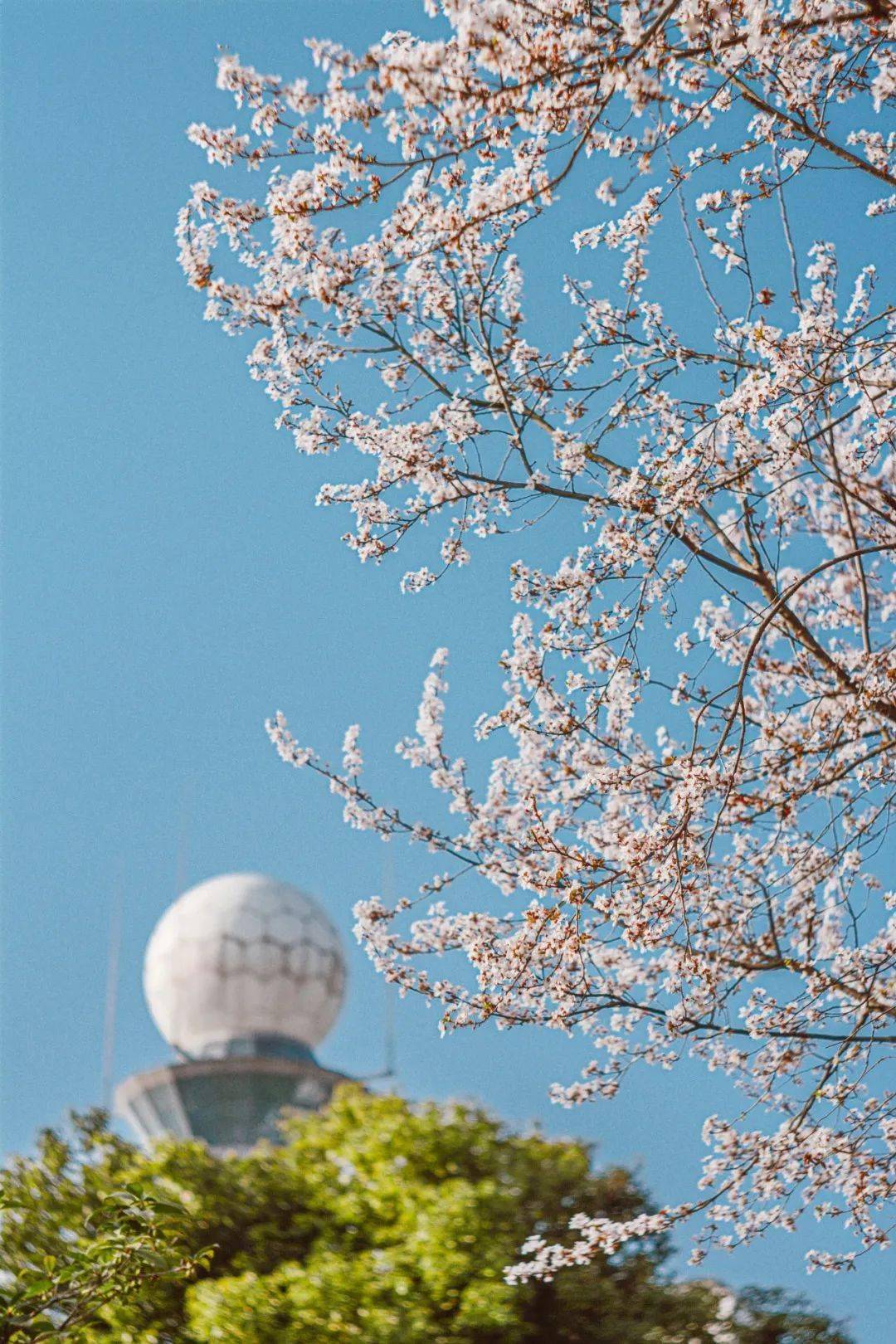 01南京信息工程大学