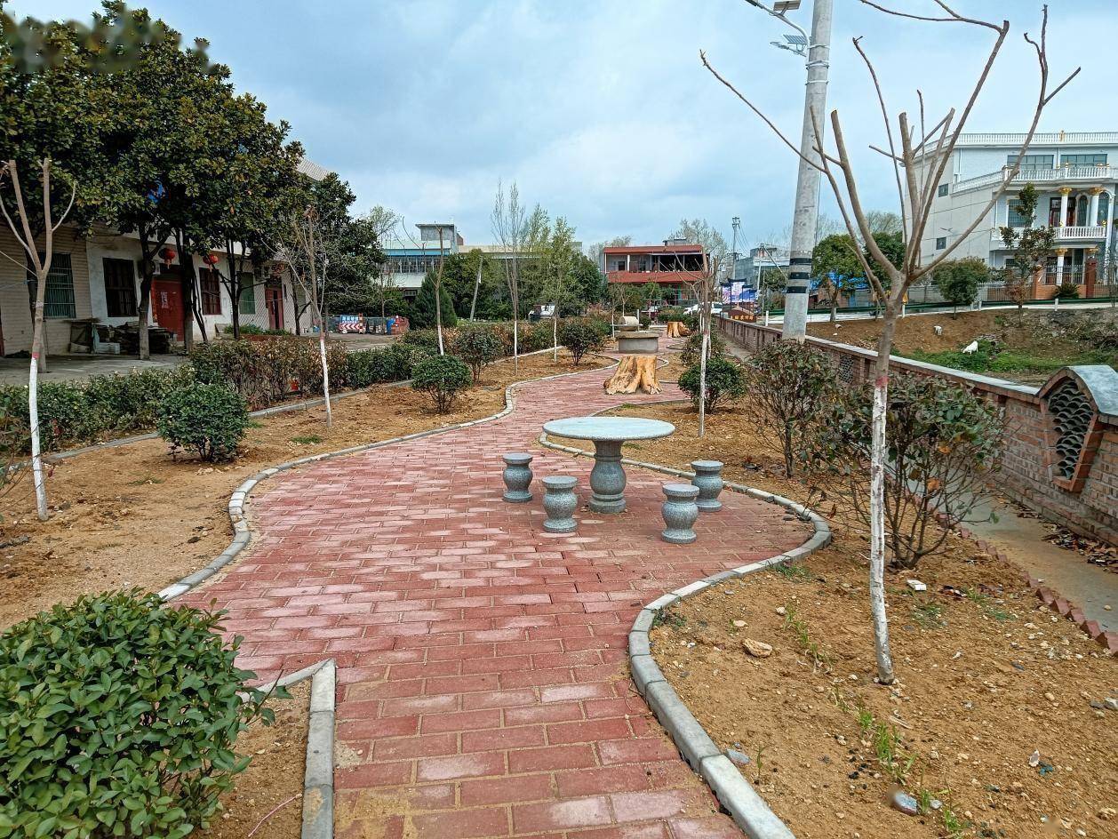 镇平县杨营镇:实施"百村千园" 以"环境美"赋能"乡村兴"_建设_整治