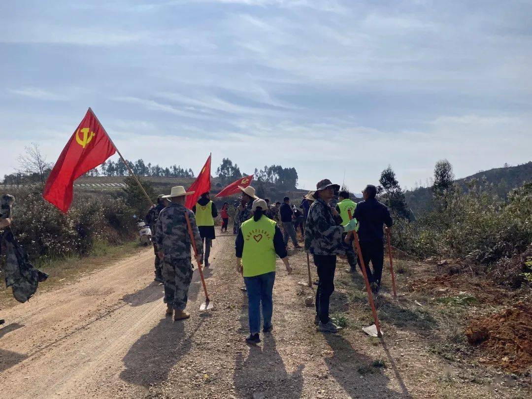 通海团县委组织开展生态环保志愿服务活动_青年_建设_文明