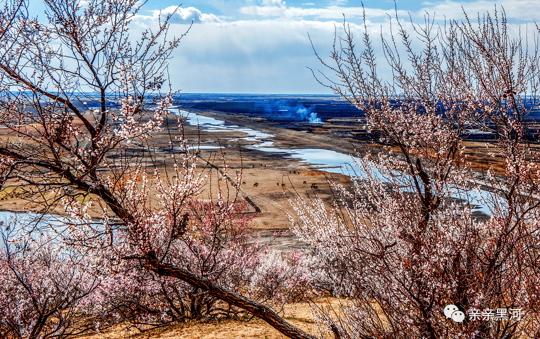 台地),佳木斯市桦南县明义映山红旅游景区,伊春市汤旺县汤旺河林海奇