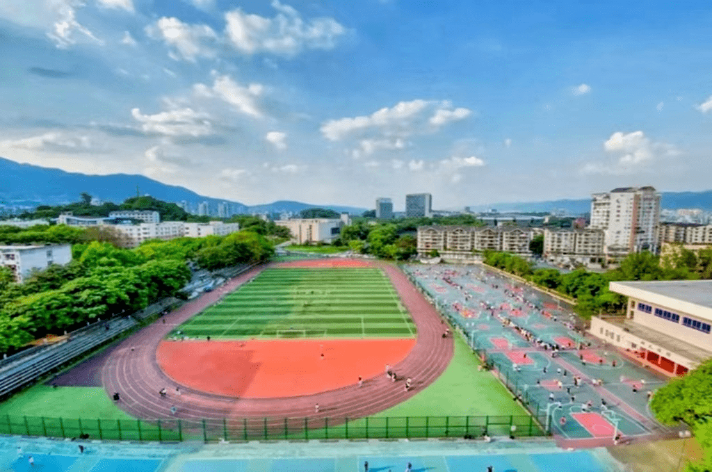 的人完成一次"公主学习法"或在古朴的弘文图书馆里@西南大学在林中石