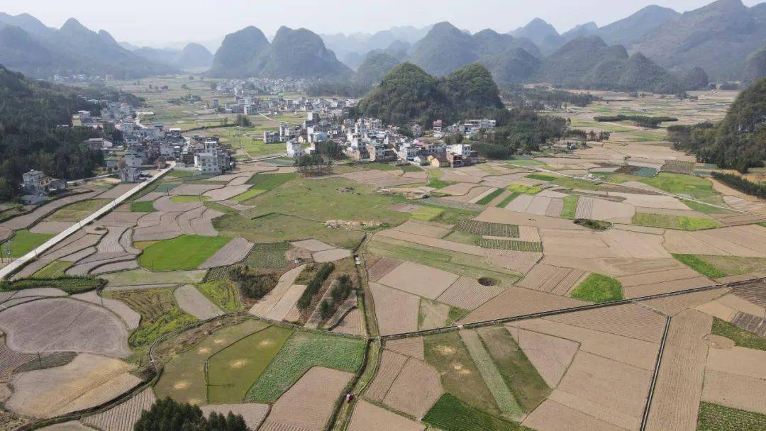 金山村位于忻城县大塘镇北面,总耕地面积4456亩,其中水田1936亩.