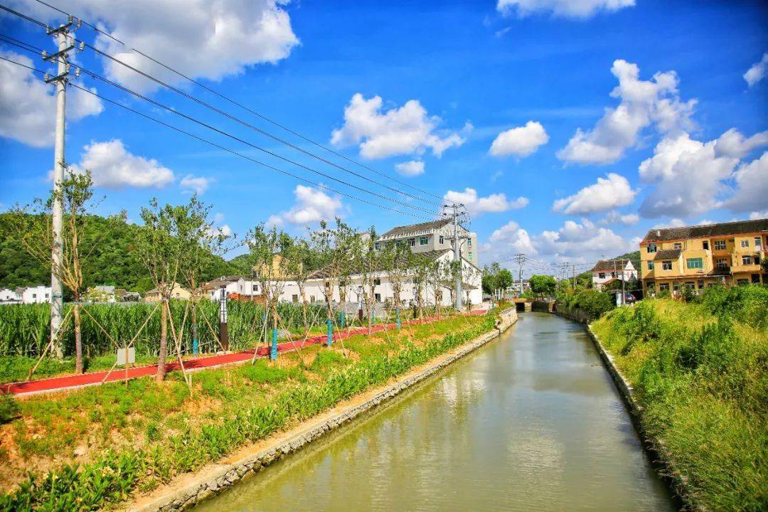 湖村_乡村_未来