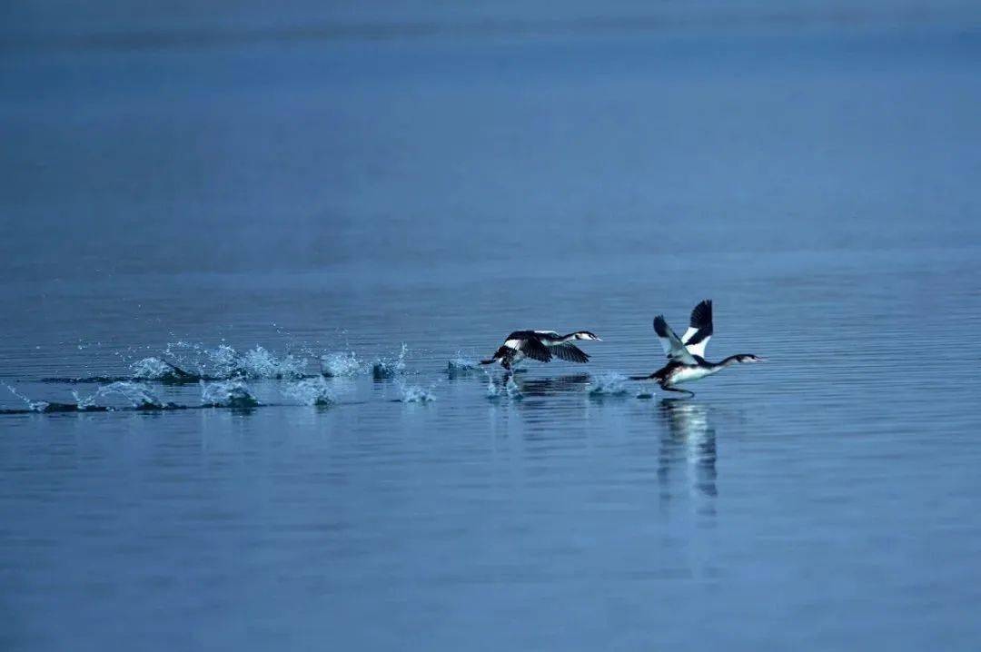 如果说海是乘风破浪的启程那么湖便是诗意栖居的归宿山也迢迢,水也