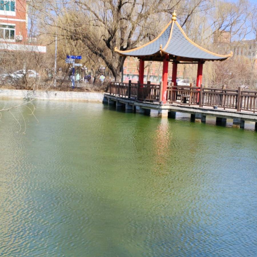 心学问教育咨询，情感纽带的力量：亲子关系与孩子情感发展的研究_父母_支持_沟通