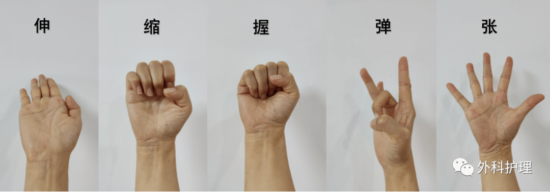 从手腕到大脑,经桡动脉脑血管造影术后护理来啦!_患者_检查_部位