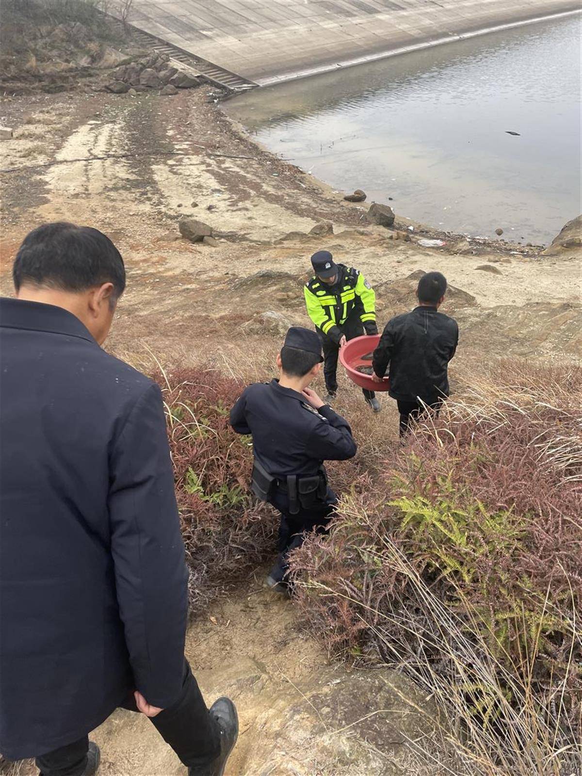 红安放生一条大娃娃鱼,重超2.5公斤_水库_永佳河_生态