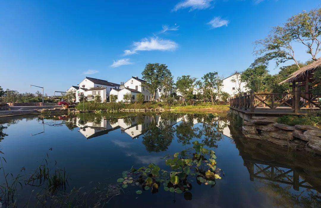 第二批苏州市传统村落公布!临湖这个村入选_柳舍_石舍_环境