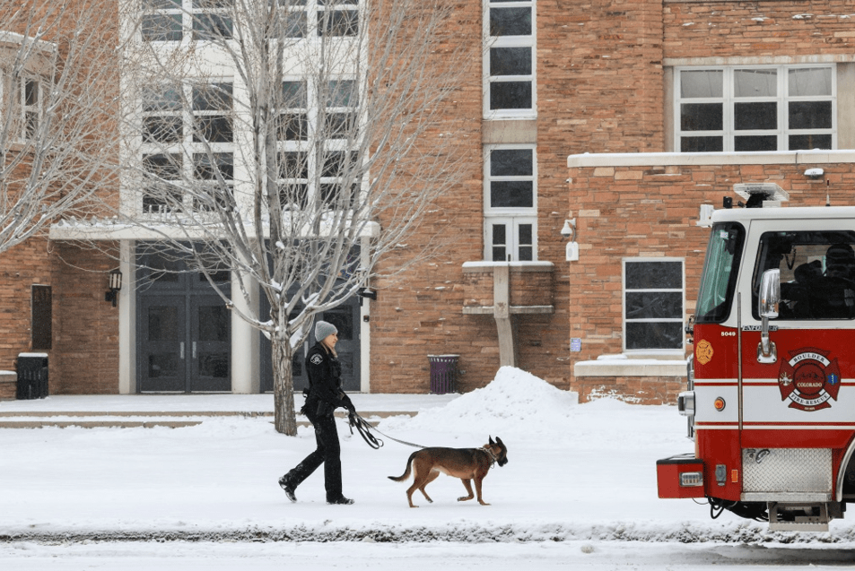 警犬抓捕犯人或被美加州禁用：曾被用来对黑人施暴 后果致命