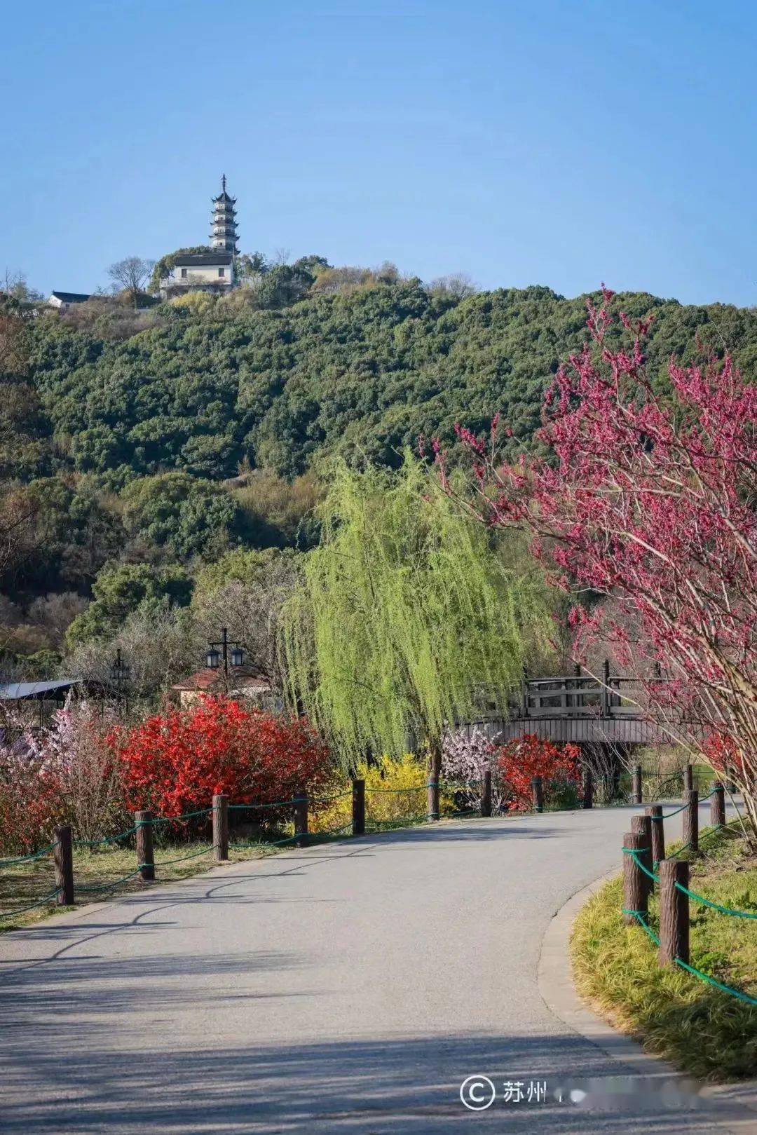 学到了（苏州天平山非遗蒋师傅）苏州天平山寺庙开放时间 第6张