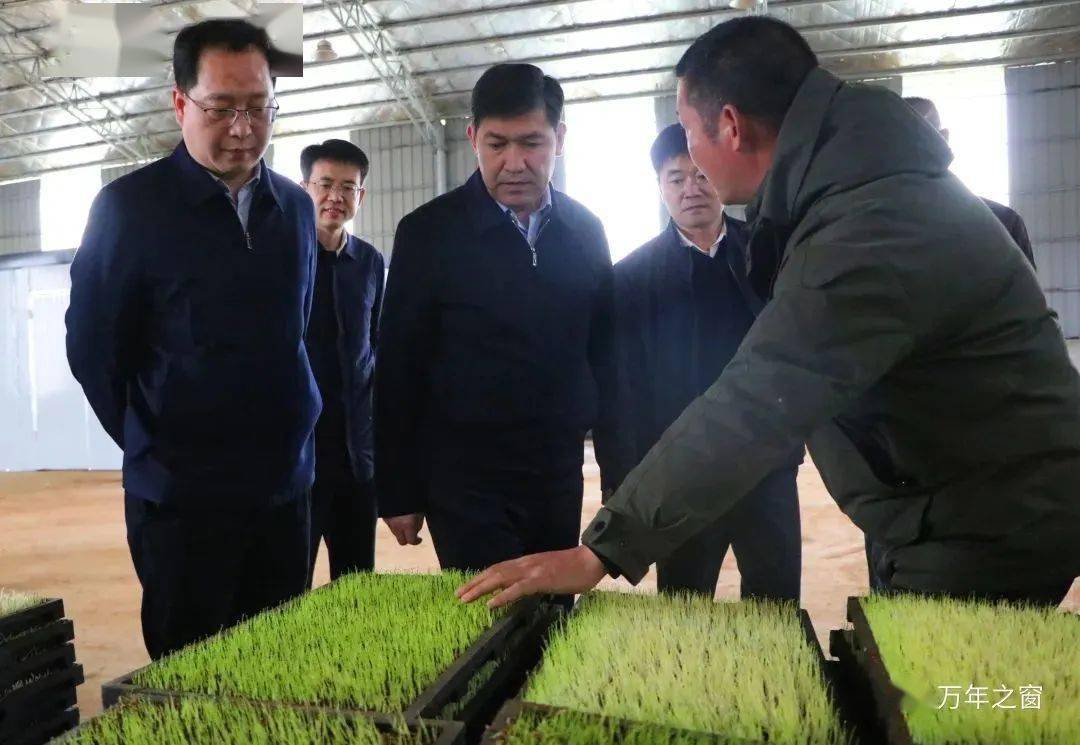 3月22日,市委常委,副市长帕塔尔61胡加买提到万年县调研农口工作.