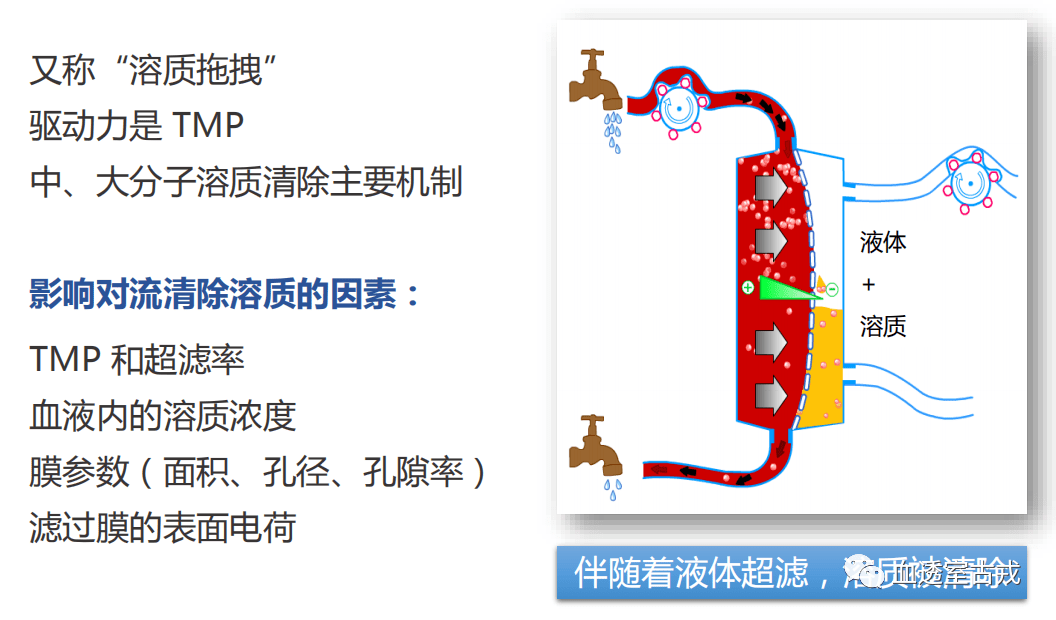 血液透析滤过血液透析滤过(hdf)是血液净化和血液滤过的杂合模式,其