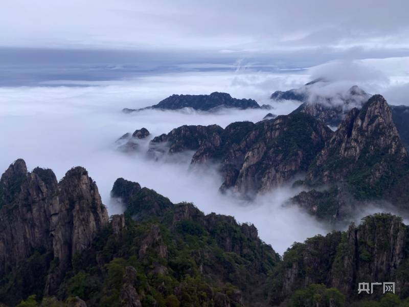 【春日里的中国】雨后黄山，春日云海似水墨仙境