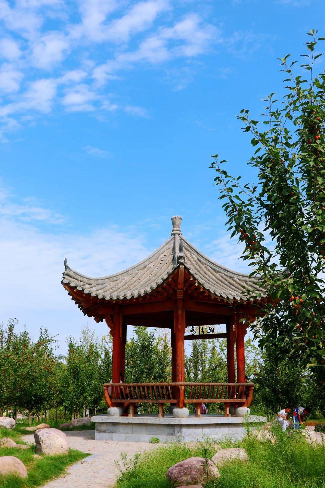 周末来浚县这里逛逛吧!_生活_模样_花香