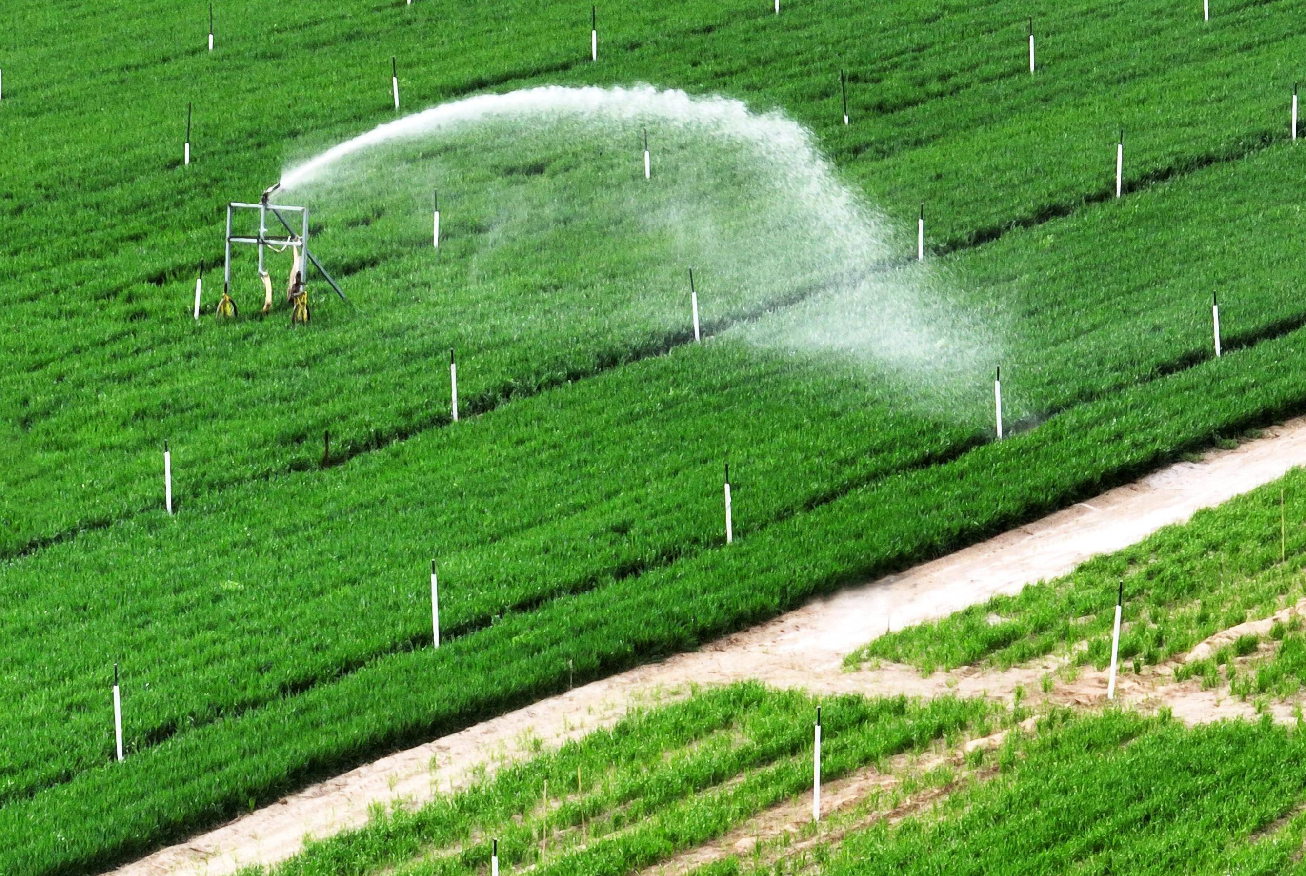 现代科学技术在农业生产中的应用越来越广泛,能够帮助农户解决实际
