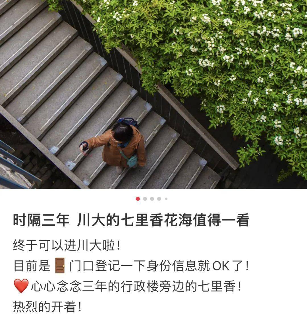 藏在大学里的成都春天