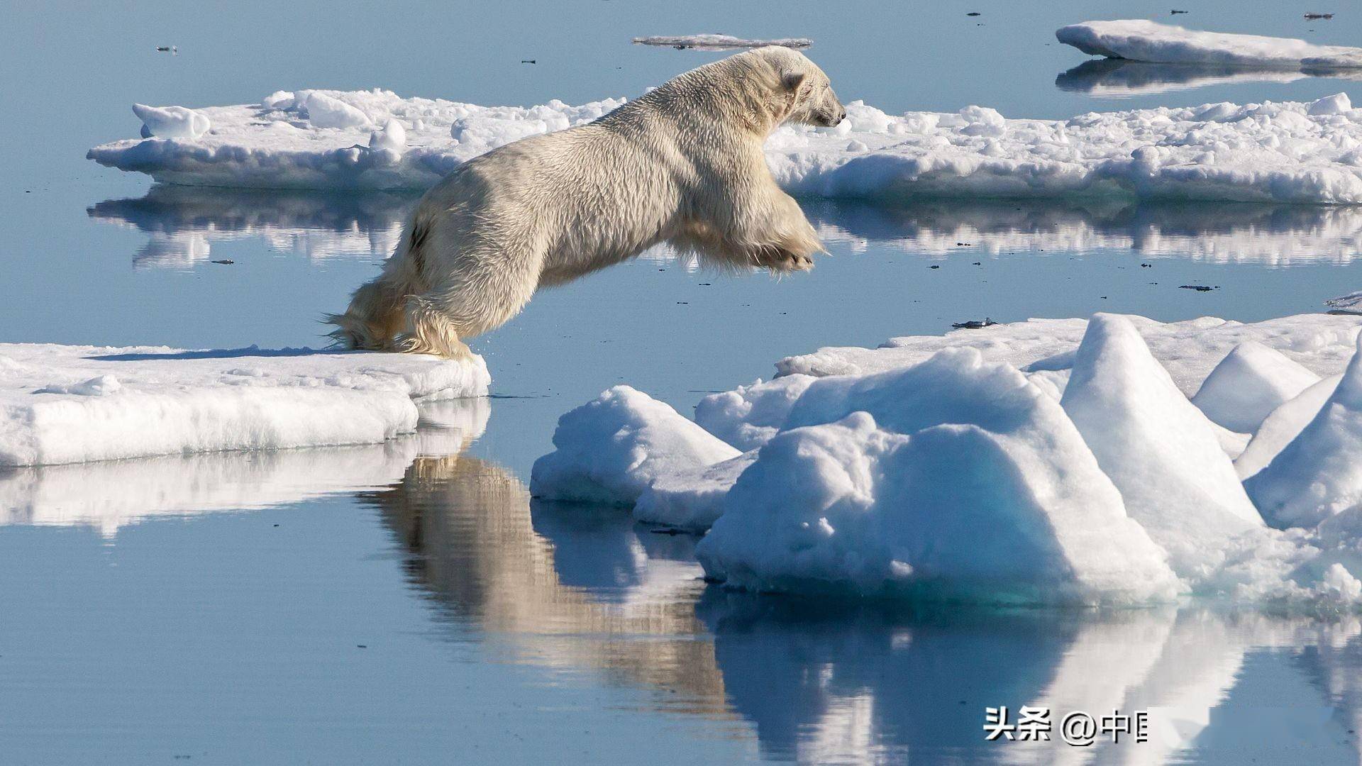 北极冬季海冰图片