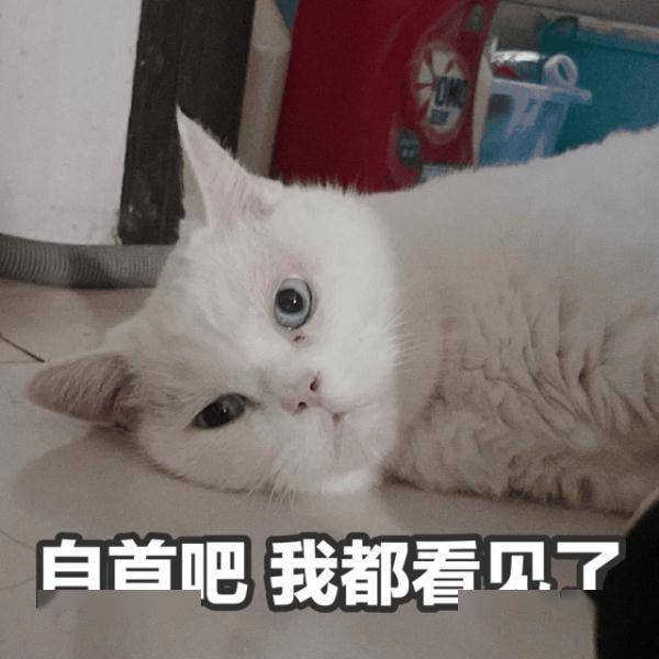 卡不断在身边，钱怎么少了？