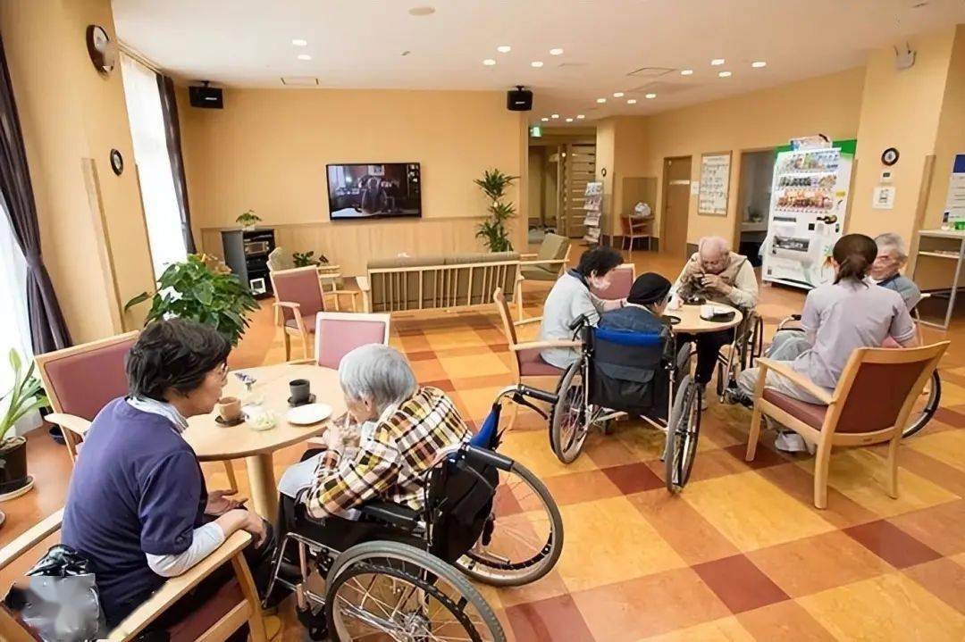 康养集团接50万日本人来中国养老,卖主求荣顶风作案,到底为什么_老人