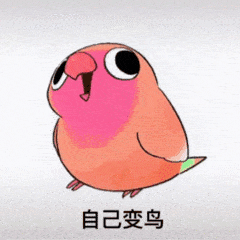 抖音热门表情包:你们都给我变鸟 变好多多的鸟